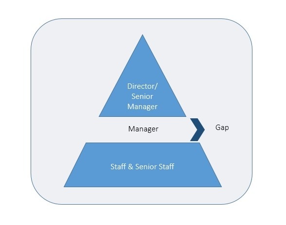Solving Management Gap problems